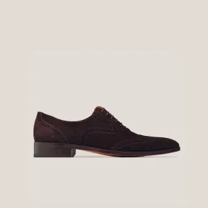 Basel - Dark Brown Suede - Brogue Shoes
