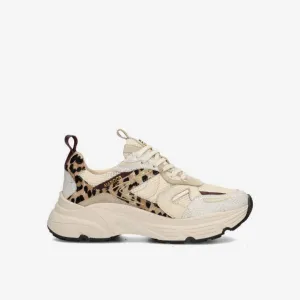 HABOOB OLIVIA Sneaker -  White / Off white / Plum