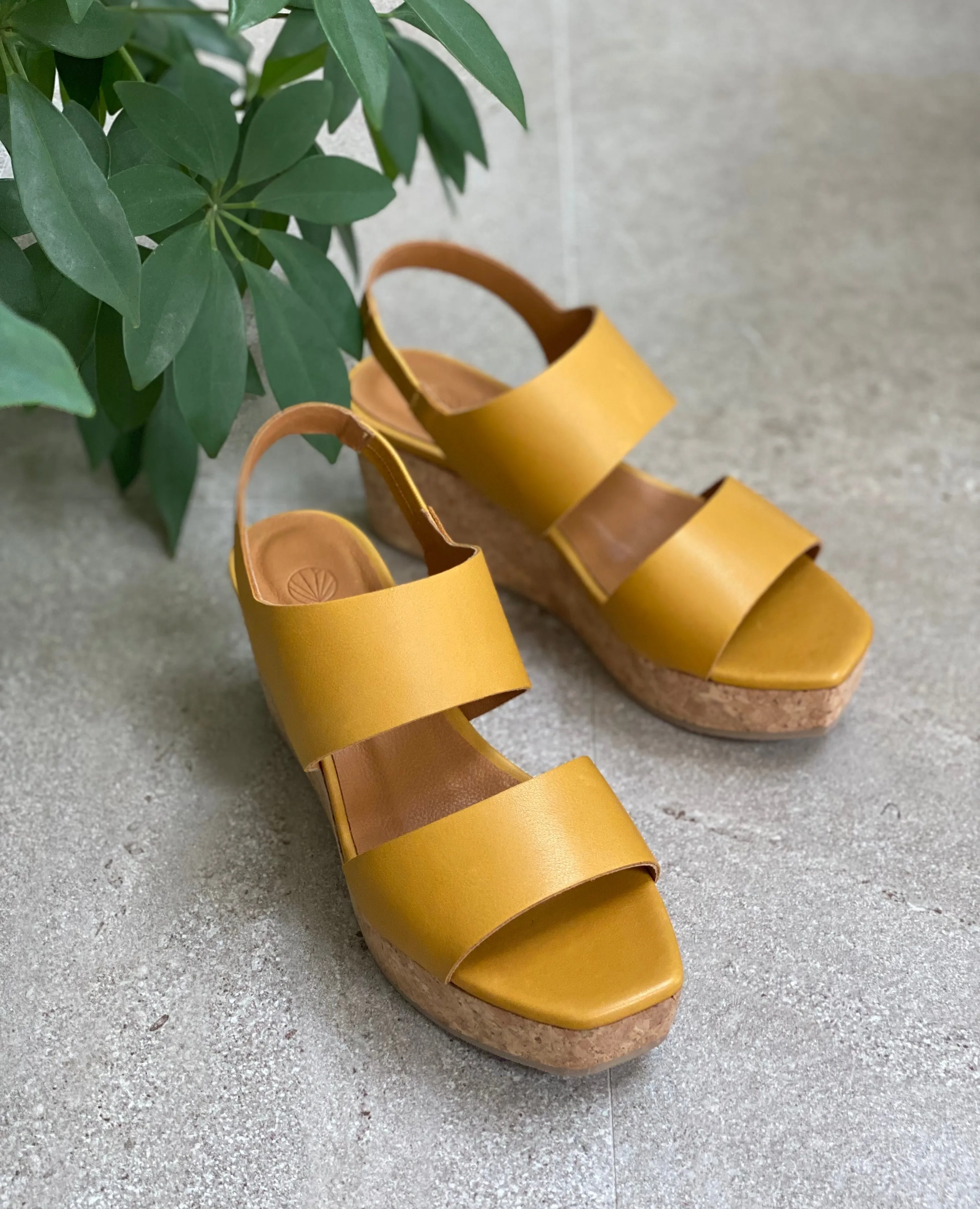 Massy Wedge