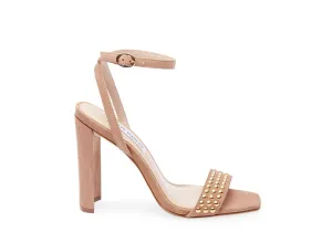 POPULAR CAMEL MULTI